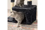 Feandrea Pct190k01 Cat Tree, Deluxe Indoor Amusement Park For Cats, Multi-level Pet Playground With Plush Cover And Flying Balls Feandrea Pct190k01 Cat Tree, Deluxe Indoor Amusement Park For Cats, Multi-level Pet Playground With Plush Cover And Flying Balls