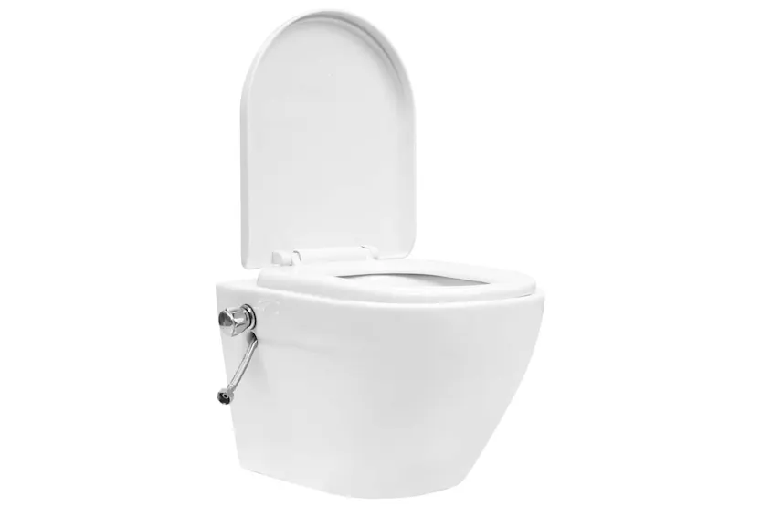 Vidaxl Wall Hung Rimless Toilet With Concealed Cistern Ceramic White Vidaxl Wall Hung Rimless Toilet With Concealed Cistern Ceramic White