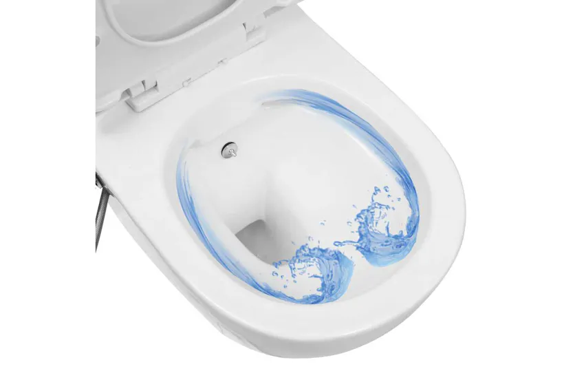 Vidaxl Wall Hung Rimless Toilet With Concealed Cistern Ceramic White Vidaxl Wall Hung Rimless Toilet With Concealed Cistern Ceramic White