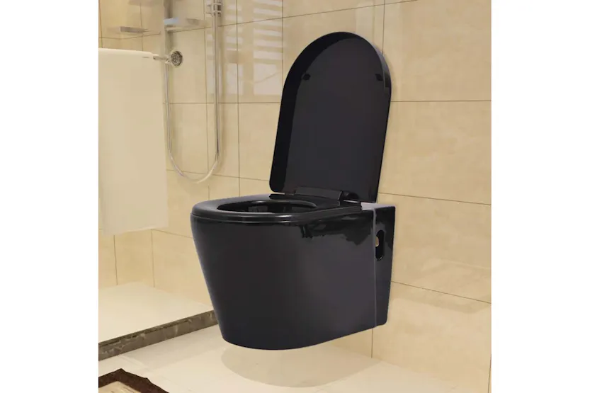 Vidaxl Wall Hung Toilet With Concealed Cistern Ceramic Black Vidaxl Wall Hung Toilet With Concealed Cistern Ceramic Black