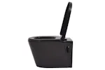Vidaxl Wall Hung Toilet With Concealed Cistern Ceramic Black Vidaxl Wall Hung Toilet With Concealed Cistern Ceramic Black