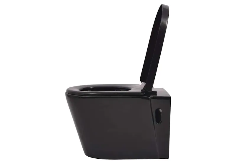 Vidaxl Wall Hung Toilet With Concealed Cistern Ceramic Black Vidaxl Wall Hung Toilet With Concealed Cistern Ceramic Black