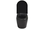 Vidaxl Wall Hung Toilet With Concealed Cistern Ceramic Black Vidaxl Wall Hung Toilet With Concealed Cistern Ceramic Black