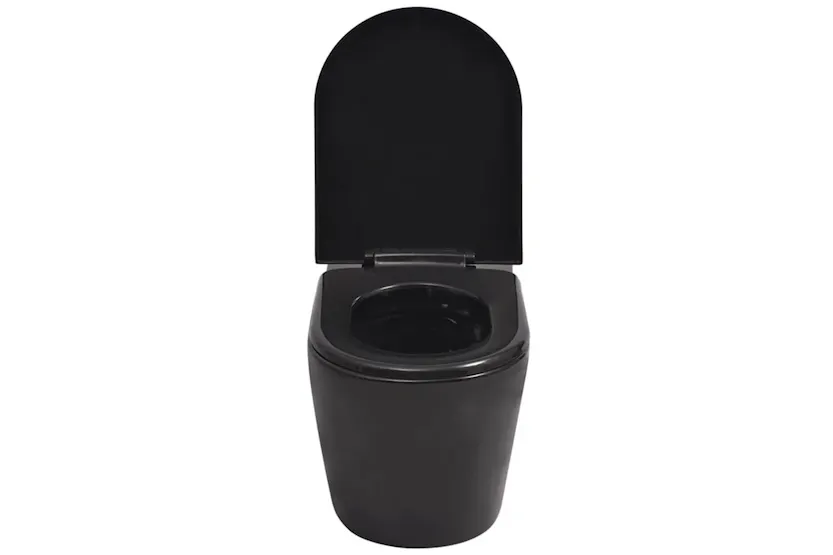 Vidaxl Wall Hung Toilet With Concealed Cistern Ceramic Black Vidaxl Wall Hung Toilet With Concealed Cistern Ceramic Black
