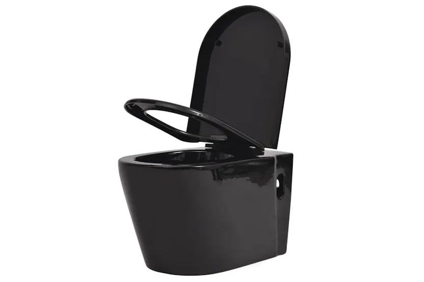 Vidaxl Wall Hung Toilet With Concealed Cistern Ceramic Black Vidaxl Wall Hung Toilet With Concealed Cistern Ceramic Black