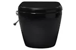 Vidaxl Wall Hung Rimless Toilet With Concealed Cistern Ceramic Black Vidaxl Wall Hung Rimless Toilet With Concealed Cistern Ceramic Black