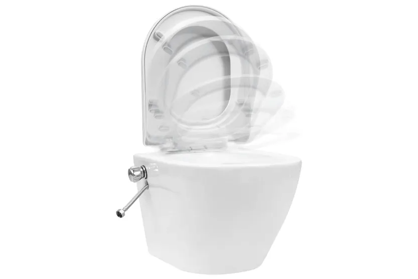 Vidaxl Wall Hung Rimless Toilet With Concealed Cistern Ceramic White Vidaxl Wall Hung Rimless Toilet With Concealed Cistern Ceramic White