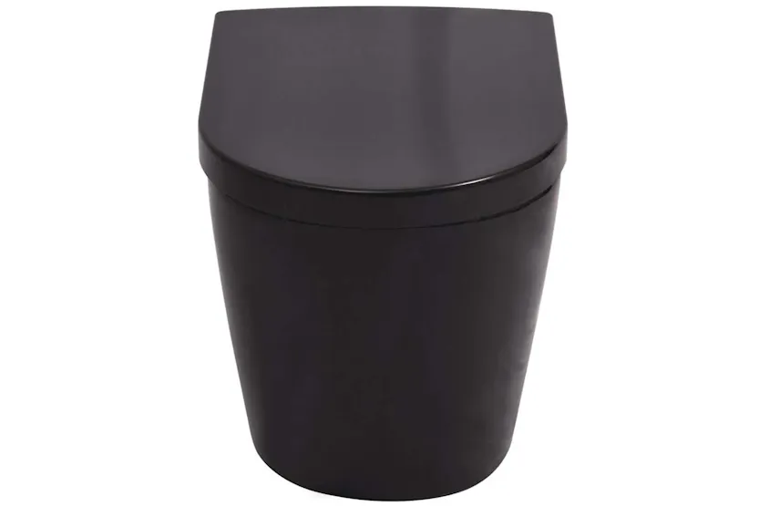 Vidaxl Wall Hung Toilet With Concealed Cistern Ceramic Black Vidaxl Wall Hung Toilet With Concealed Cistern Ceramic Black