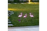 Hi Solar Led Garden Stake Flamingo 3 Pcs Hi Solar Led Garden Stake Flamingo 3 Pcs