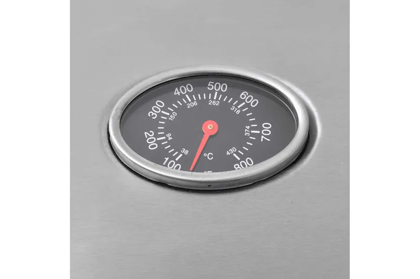 Vidaxl Gas Barbecue Grill 4+1 Cooking Zone Silver Vidaxl Gas Barbecue Grill 4+1 Cooking Zone Silver