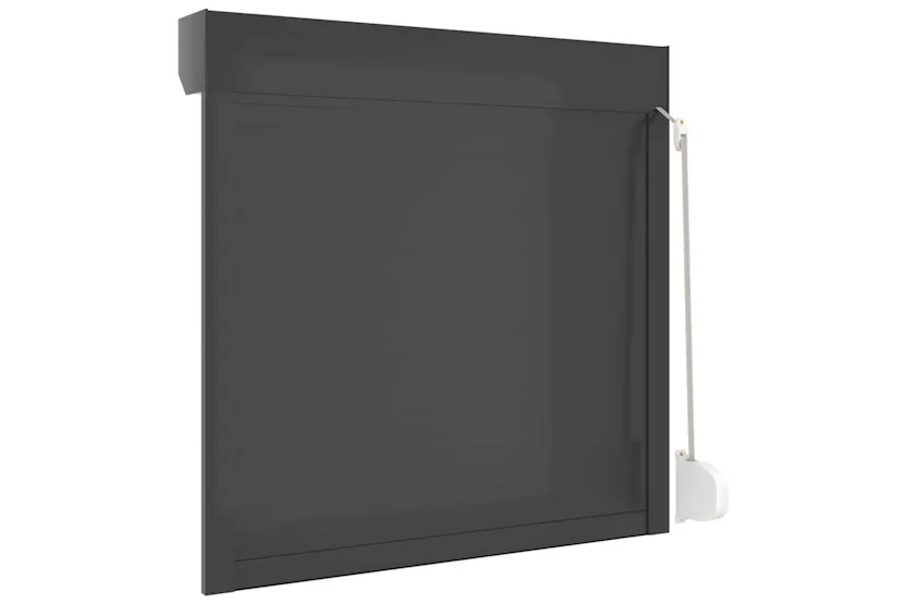 Vidaxl Roller Shutter Aluminium 100x100 Cm Anthracite Vidaxl Roller Shutter Aluminium 100x100 Cm Anthracite