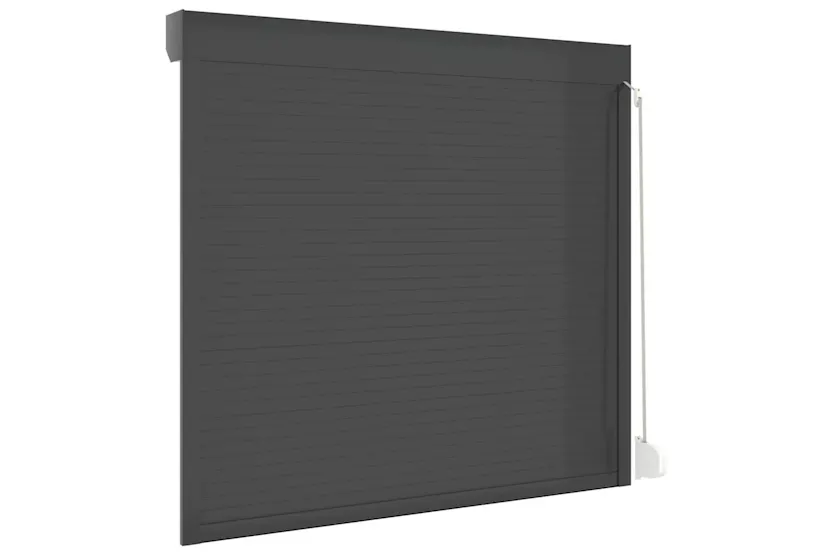 Vidaxl Roller Shutter Aluminium 160x150 Cm Anthracite Vidaxl Roller Shutter Aluminium 160x150 Cm Anthracite