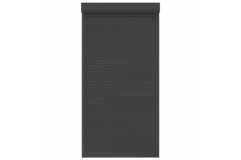 Vidaxl Roller Shutter Aluminium 110x220 Cm Anthracite Vidaxl Roller Shutter Aluminium 110x220 Cm Anthracite