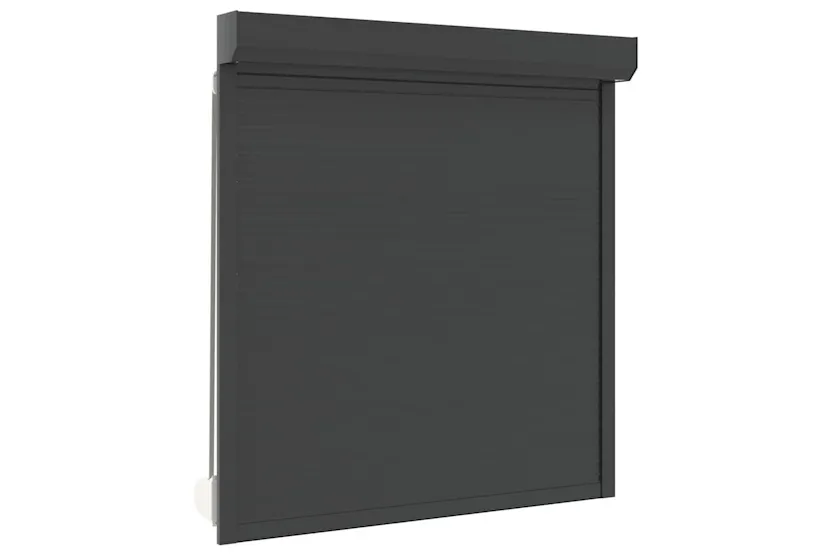 Vidaxl Roller Shutter Aluminium 140x150 Cm Anthracite Vidaxl Roller Shutter Aluminium 140x150 Cm Anthracite