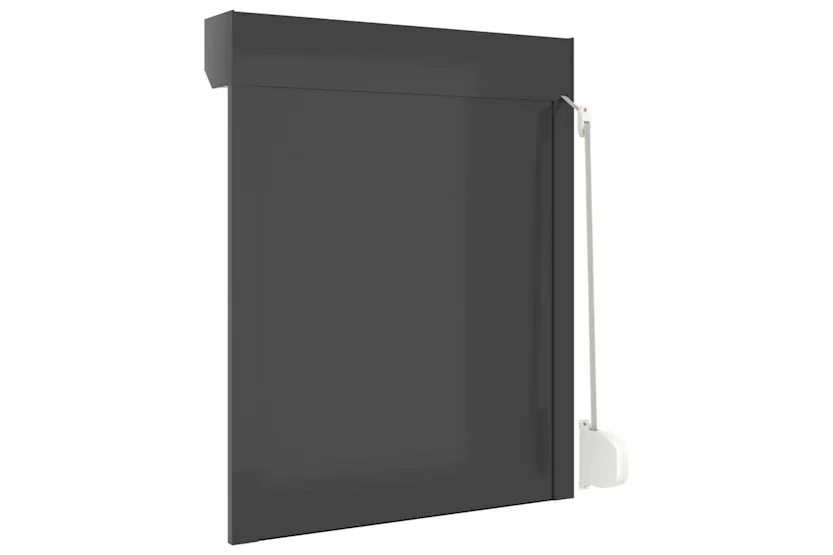 Vidaxl Roller Shutter Aluminium 80x100 Cm Anthracite Vidaxl Roller Shutter Aluminium 80x100 Cm Anthracite