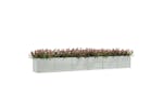 Vidaxl Garden Raised Bed 600x80x77 Cm Galvanized Steel Silver Vidaxl Garden Raised Bed 600x80x77 Cm Galvanized Steel Silver