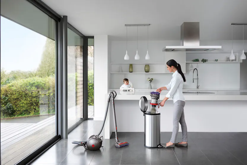 Dyson Big Ball Animal 2 Cylinder Bagless Vacuum Cleaner | 228563-01 Dyson Big Ball Animal 2 Cylinder Bagless Vacuum Cleaner | 228563-01