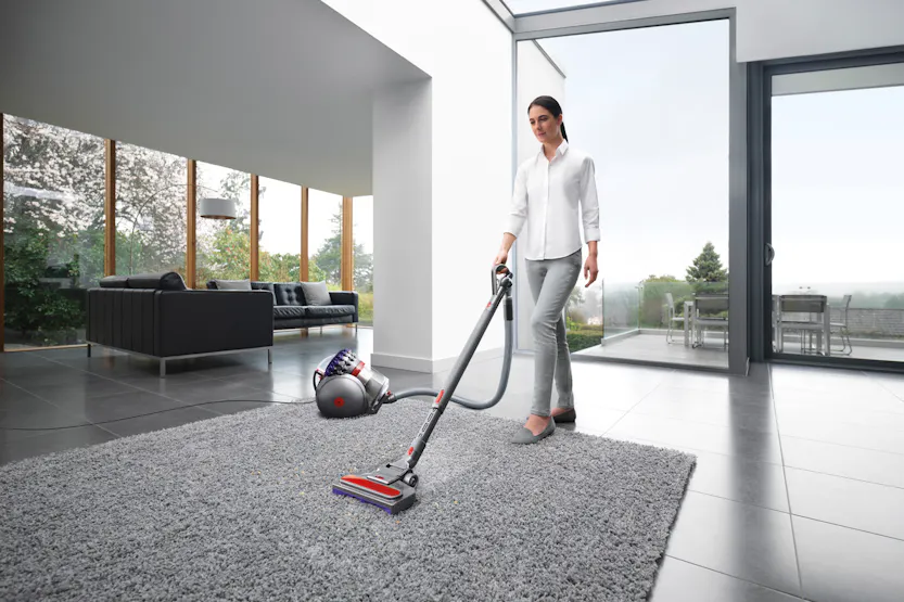 Dyson Big Ball Animal 2 Cylinder Bagless Vacuum Cleaner | 228563-01 Dyson Big Ball Animal 2 Cylinder Bagless Vacuum Cleaner | 228563-01
