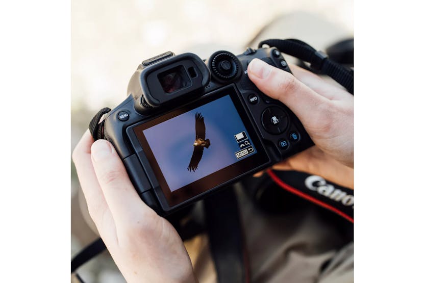 Canon EOS R7 Mirrorless Camera with RF-S 18-150mm F3.5-6.3 IS STM Lens | Black Canon EOS R7 Mirrorless Camera with RF-S 18-150mm F3.5-6.3 IS STM Lens | Black