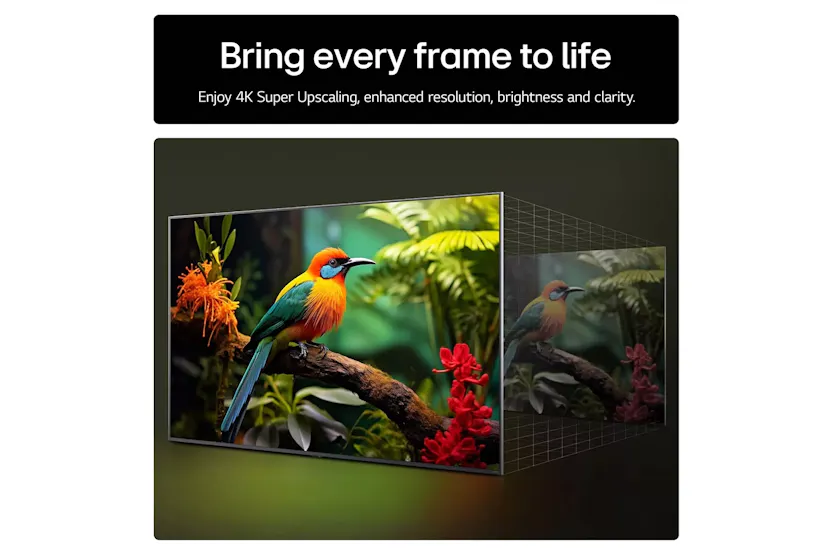 LG 65" UA75 4K Ultra HD HDR LED Smart TV | 65UA75006LA.AEK LG 65" UA75 4K Ultra HD HDR LED Smart TV | 65UA75006LA.AEK