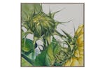 Stone Framed Canvas Wall Art | Fern | 70 x 70 cm Stone Framed Canvas Wall Art | Fern | 70 x 70 cm