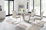 Riyah Dining Chair | Taupe Riyah Dining Chair | Taupe