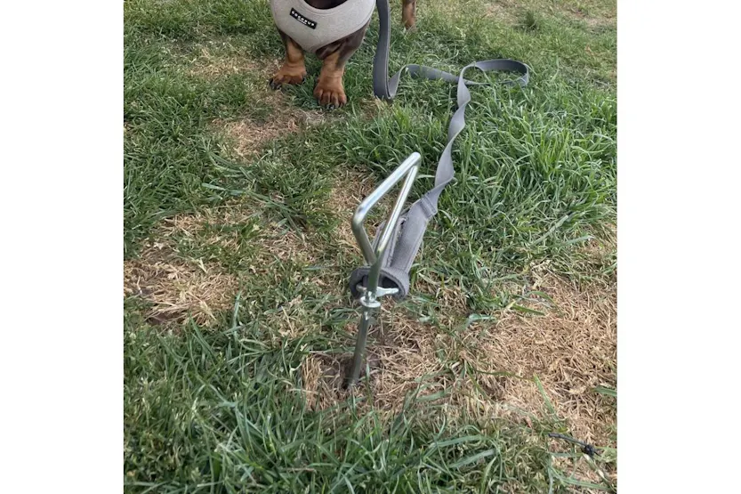 Olpro Dog Tie Down Anchor | Steel | Size-8mm X 405mm Olpro Dog Tie Down Anchor | Steel | Size-8mm X 405mm