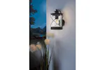 Eglo | Hilburn Wall Light | Black Eglo | Hilburn Wall Light | Black