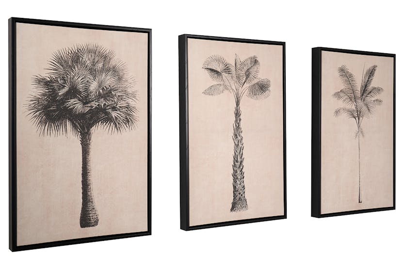 Palm Tree Print Canvases | Natural/Black | 40 x 60 cm | Set of 3 Palm Tree Print Canvases | Natural/Black | 40 x 60 cm | Set of 3