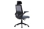 Capitis Ergonomic Office Chair | Grey Capitis Ergonomic Office Chair | Grey