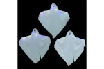 Vidaxl Halloween Hanging Ghost With 3 Leds 3 Pcs White Polyester Vidaxl Halloween Hanging Ghost With 3 Leds 3 Pcs White Polyester