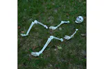 Vidaxl Halloween Skeleton White 20 X 10 X 95 Cm Plastic Vidaxl Halloween Skeleton White 20 X 10 X 95 Cm Plastic