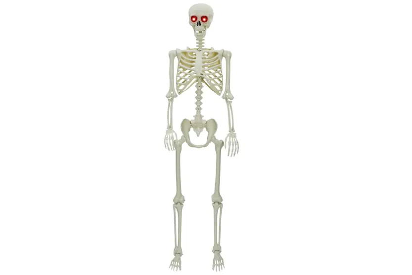 Vidaxl Halloween Skeleton White Plastic Vidaxl Halloween Skeleton White Plastic