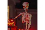 Vidaxl Halloween Skeleton White Plastic Vidaxl Halloween Skeleton White Plastic