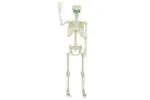Vidaxl Halloween Skeleton White Plastic Vidaxl Halloween Skeleton White Plastic