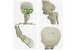 Vidaxl Halloween Skeleton White Plastic Vidaxl Halloween Skeleton White Plastic