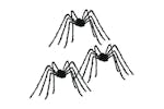 Vidaxl Halloween Spider Decoration 3 Pcs Black 200 Cm Polyester Vidaxl Halloween Spider Decoration 3 Pcs Black 200 Cm Polyester