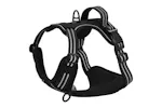 Dog Harness With Lead Collar Adjustable Black M Dog Harness With Lead Collar Adjustable Black M