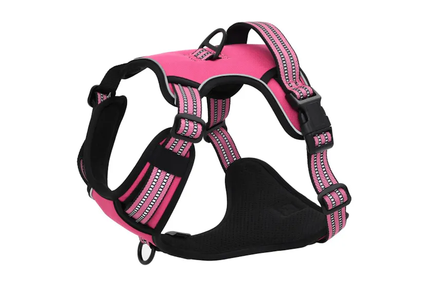 Dog Harness With Lead Collar Adjustable Pink Xl Dog Harness With Lead Collar Adjustable Pink Xl
