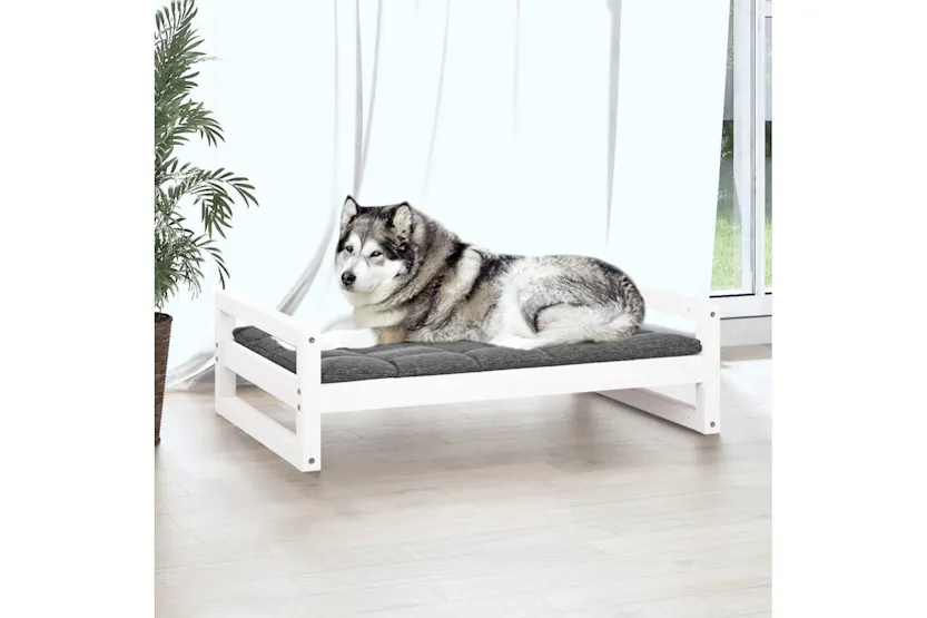 Dog Bed White 1055x755x28 Cm Solid Pine Wood Dog Bed White 1055x755x28 Cm Solid Pine Wood