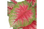 Artificial Caladium Plant With Pot 85 Cm Green And Red Artificial Caladium Plant With Pot 85 Cm Green And Red
