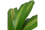 Artificial Dracaena Plant With Pot 90 Cm Green Artificial Dracaena Plant With Pot 90 Cm Green