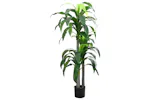 Artificial Dracaena Tree 36 Leaves 180 Cm Green Artificial Dracaena Tree 36 Leaves 180 Cm Green