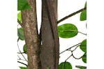 Artificial Ficus Plant 1260 Leaves 200 Cm Green Artificial Ficus Plant 1260 Leaves 200 Cm Green