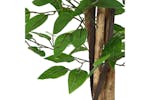 Artificial Ficus Plant 788 Leaves 120 Cm Green Artificial Ficus Plant 788 Leaves 120 Cm Green