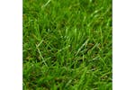 Artificial Grass 1x5 M40 Mm Green Artificial Grass 1x5 M40 Mm Green