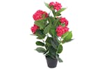 Artificial Hydrangea Plant With Pot 60 Cm Red Artificial Hydrangea Plant With Pot 60 Cm Red