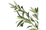 Artificial Olive Tree 1000 Leaves 300 Cm Green Artificial Olive Tree 1000 Leaves 300 Cm Green