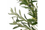 Artificial Olive Tree 700 Leaves 180 Cm Green Artificial Olive Tree 700 Leaves 180 Cm Green