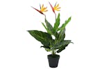 Artificial Strelitzia Reginae Plant Bird Of Paradise 66 Cm Artificial Strelitzia Reginae Plant Bird Of Paradise 66 Cm